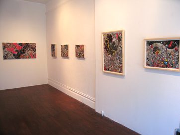Pecis, Installation View 1, 2009