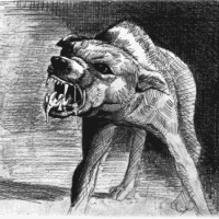 rabiddog