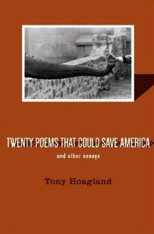 Poetry analysis: america by tony hoagland essay