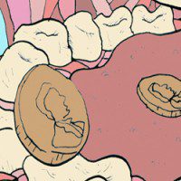 THE BINS:  Recent Events