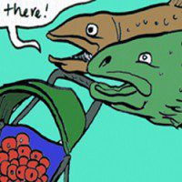 THE BINS:  Fish Cards