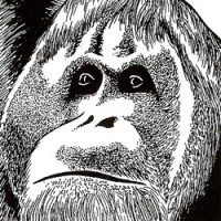 HORN! REVIEWS: Confessions from a Dark Wood