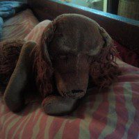 The Sunday Rumpus Essay: Object Lesson