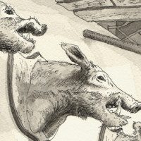 All Over Coffee #486