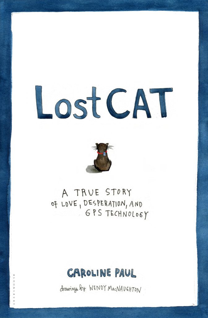Lost Cat_cover
