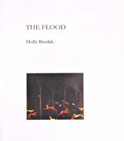 The Flood by Molly Brodak
