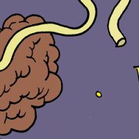 THE BINS: Space Chow