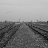 holocaust memory in america essay The method of categorizing holocaust-related research in this article is twofold: the authors of this article have elected to disperse such references throughout to signal the overlap among holocaust, memory, and trauma theory, and they have included as well a separate heading on holocaust under which key works in holocaust trauma theory are . holocaust memory in america essay The method of categorizing holocaust-related research in this article is twofold: the authors of this article have elected to disperse such references throughout to signal the overlap among holocaust, memory, and trauma theory, and they have included as well a separate heading on holocaust under which key works in holocaust trauma theory are .
