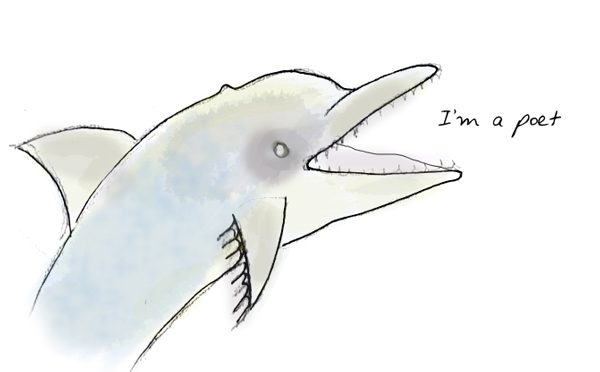 Dolphin1