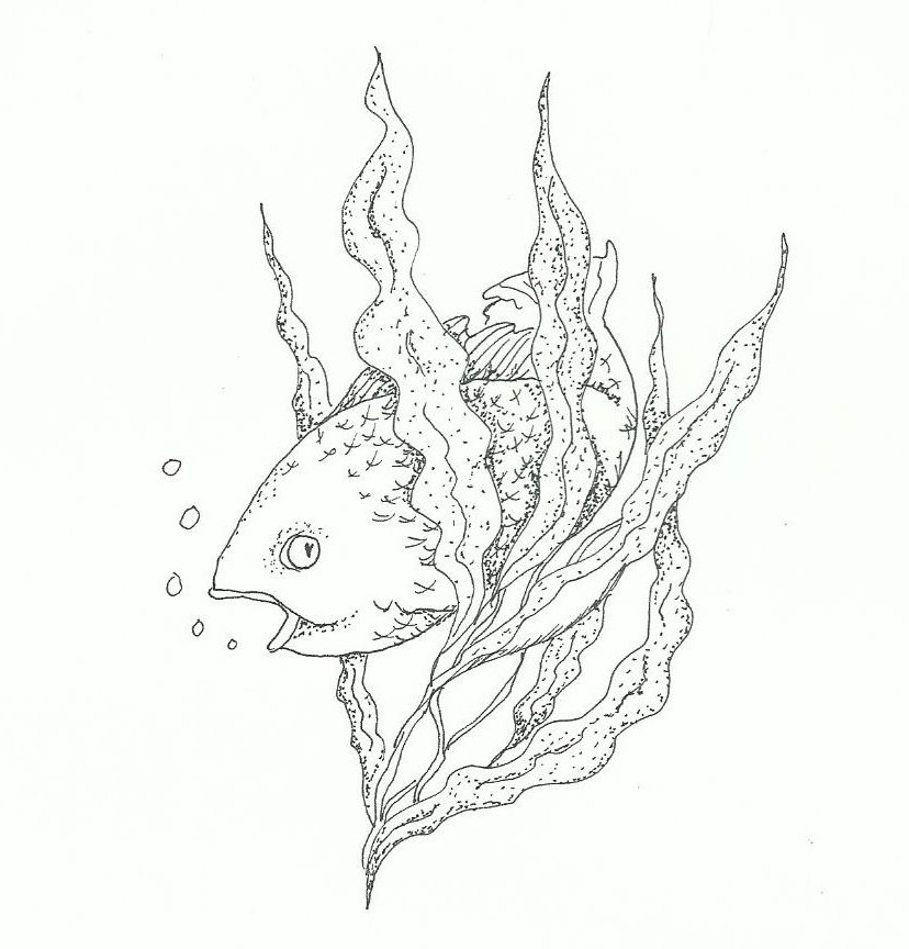 fins in kelp