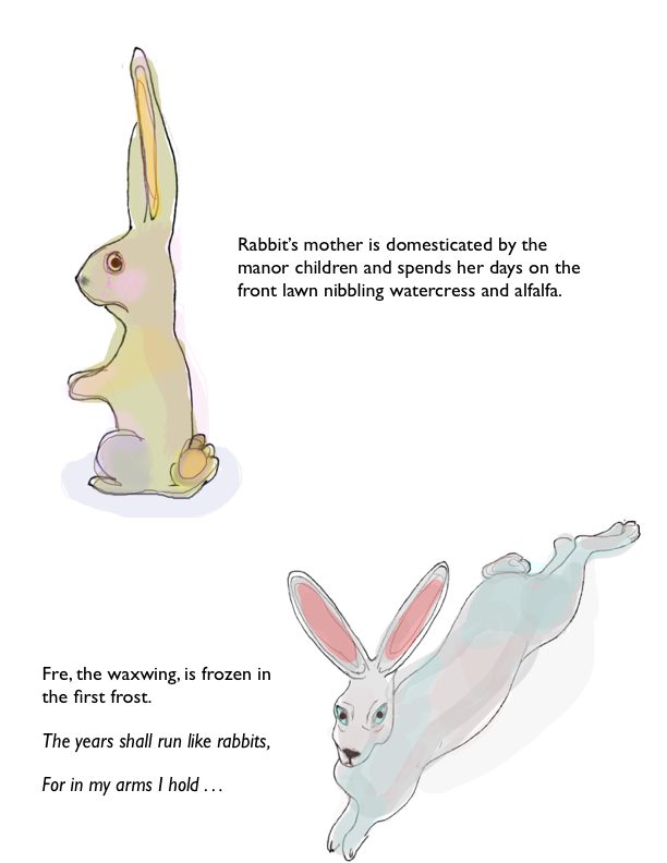 Rabbit 12