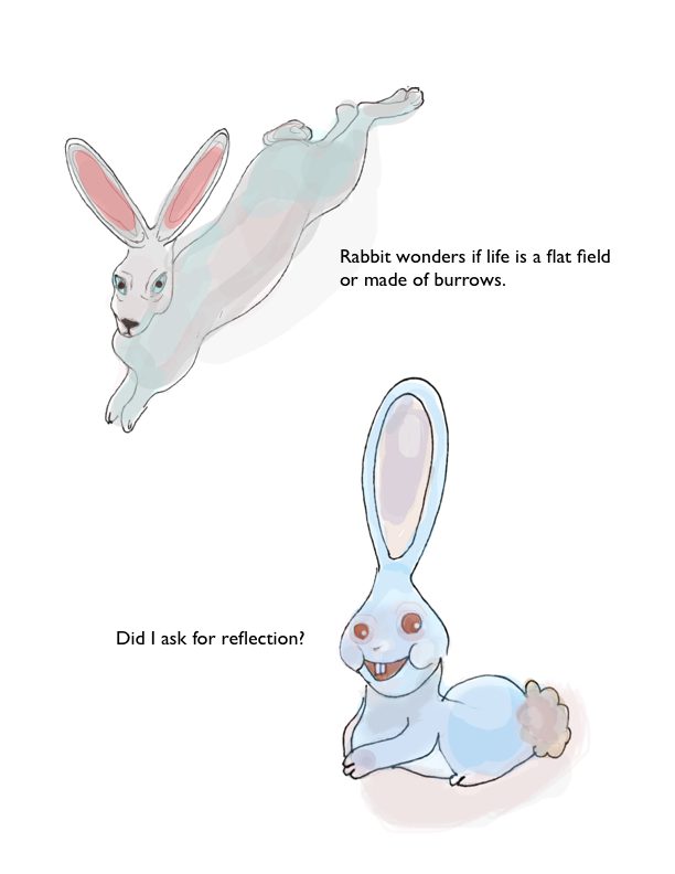 rabbit 14