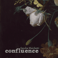 Confluence by Sandra Marchetti