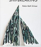 Shipbreaking by Robin Beth Schaer