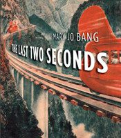 The Last Two Seconds by Mary Jo Bang
