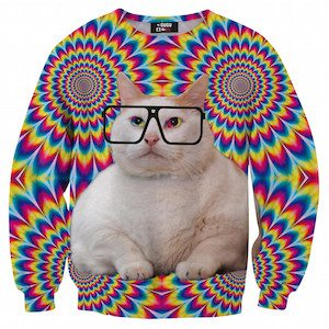 Cat Sweater 2