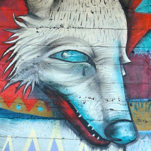 Wolf Graffiti