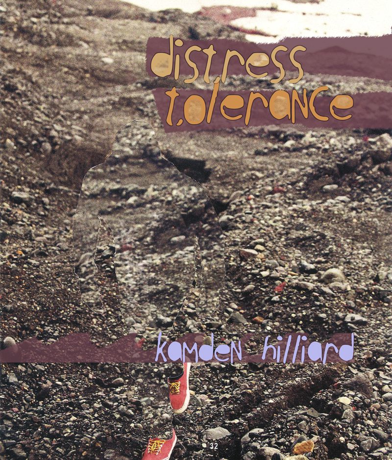Distress Tolerance (cover)