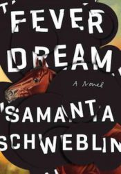 fever dream by samanta schweblin