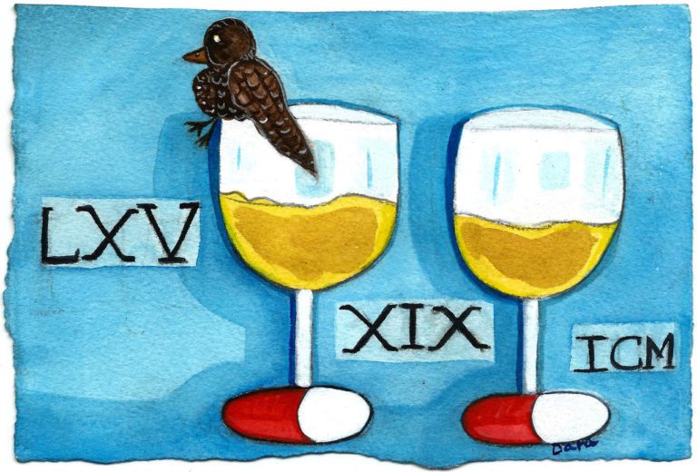 rumpus wine rumpus wine