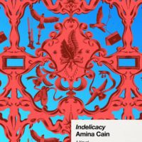 Agency and Wonder: Amina Cain’s Indelicacy