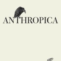 Desire Makes Storytellers of Us All: Anthropica by David Hollander