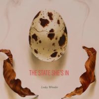 Not Looking Away: The State She’s In by Lesley Wheeler