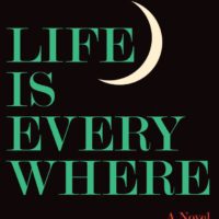 How the World Happens to Us: Lucy Ives’ Life Is Everywhere