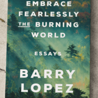 Sketch Book Reviews: Embrace Fearlessly the Burning World