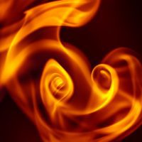 “He Needed to Be Tamed . . . She Needed to Be Embraced”