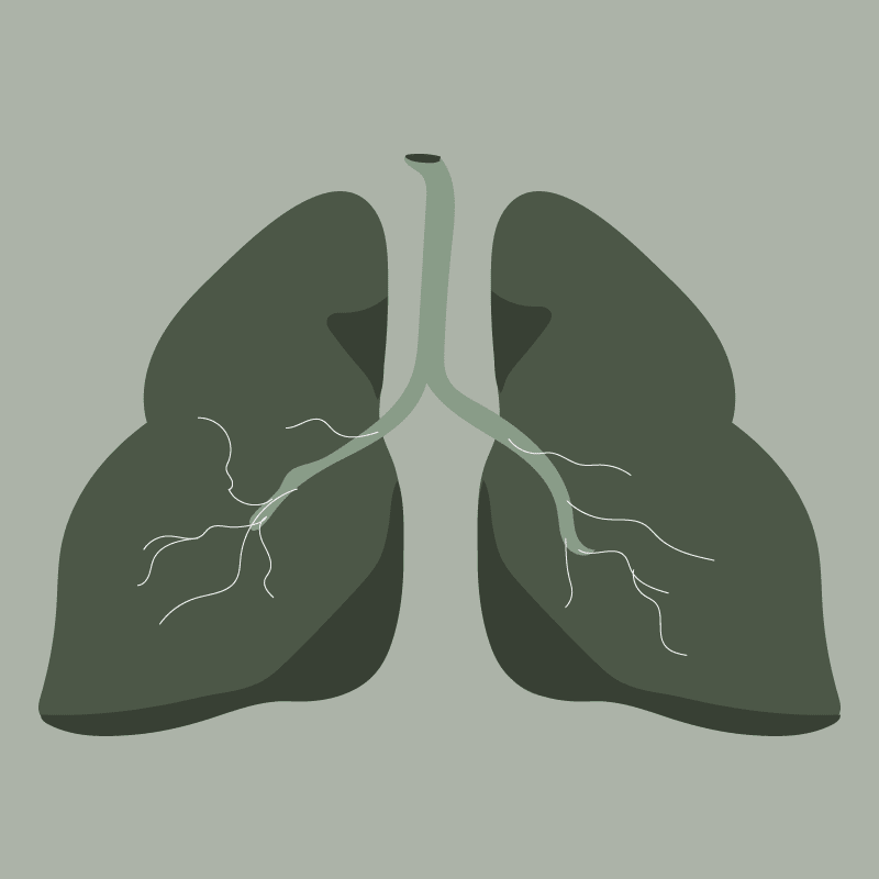 Green lungs