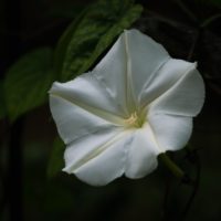 The final cover is everything