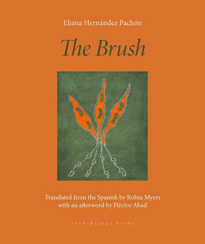 Cover of The Brush