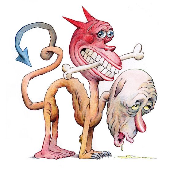 A two-headed animal with four legs and a pointed, blue tail. One head is white and has drooping ears and a long red nose. The other head is red, has pointed ears, and is holding a bone in its mouth.
