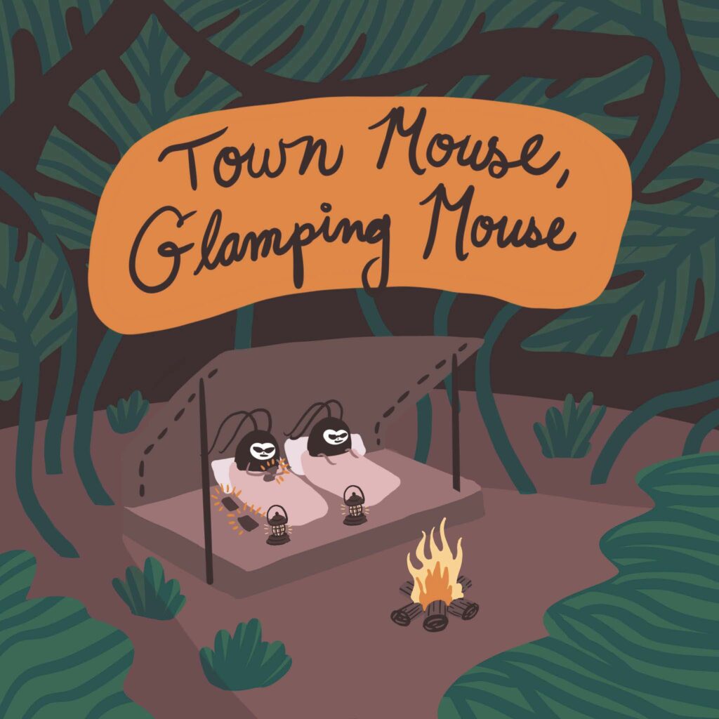 Two cockroaches lie in sleeping bags next to a small campfire. The text reads "town mouse, glamping mouse."