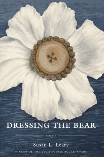 DRESSING THE BEAR cover image