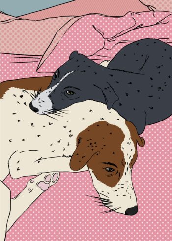 Two dogs lying together on pink polka-dotted sheets.