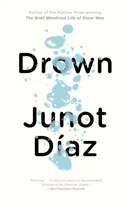 Drown cover