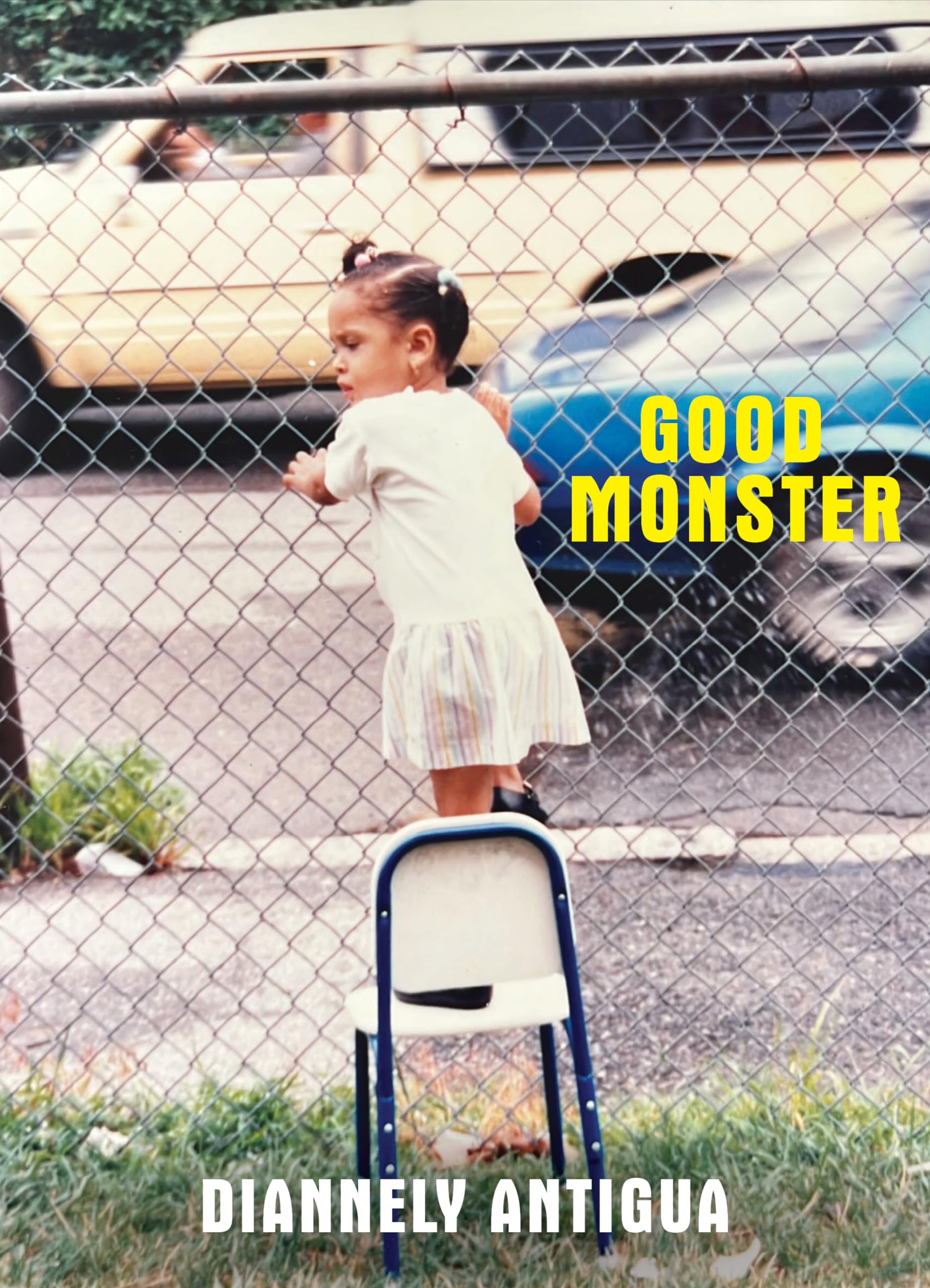 Contrast, Rumination, and Metamorphosis: Diannely Antigua’s Good Monster