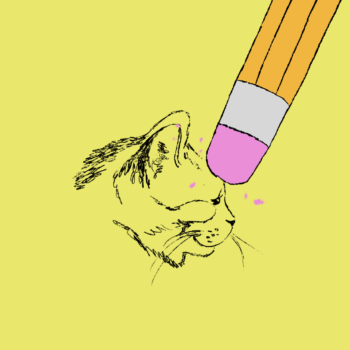 A drawing of a cat head being erased by a pink pencil eraser.