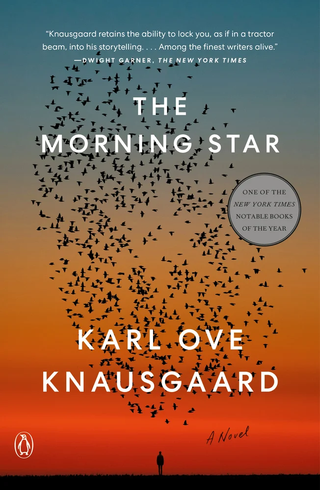 The morning star cover
