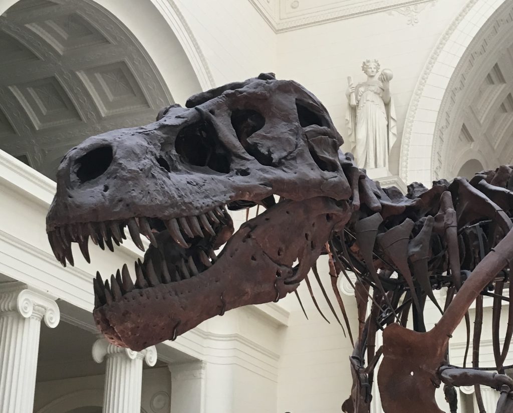 To Become A Fossil The Rumpus