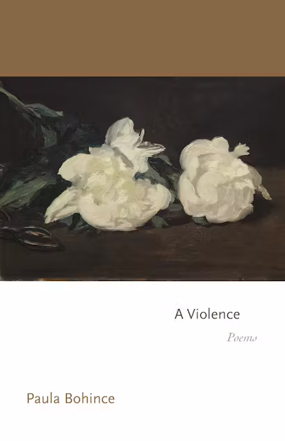 Meaning in the Ice and “A Violence: Poems” by Paula Bohince