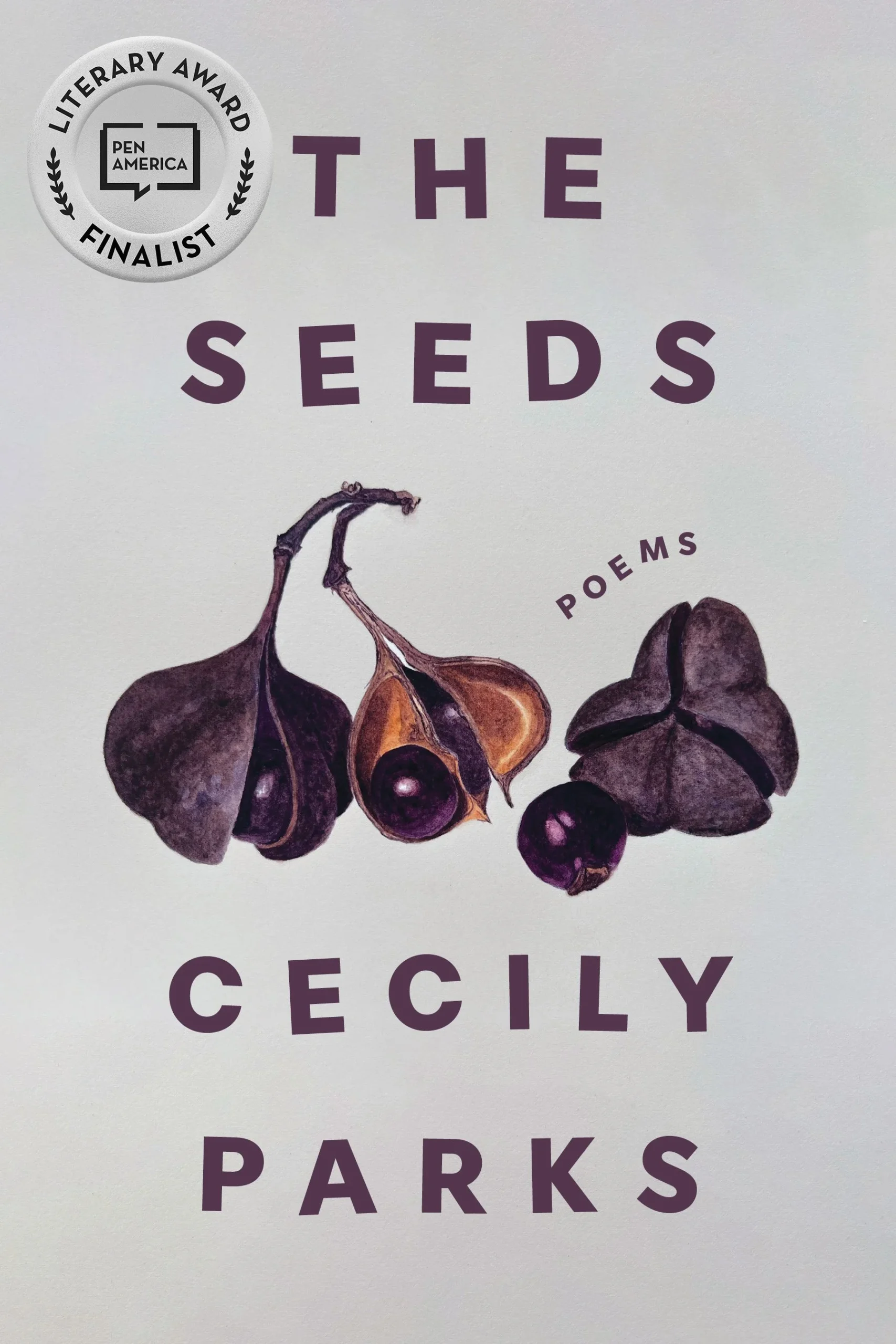 A Backyard of One’s Own: The Meticulous Ecology of Cecily Parks’ “The Seeds”