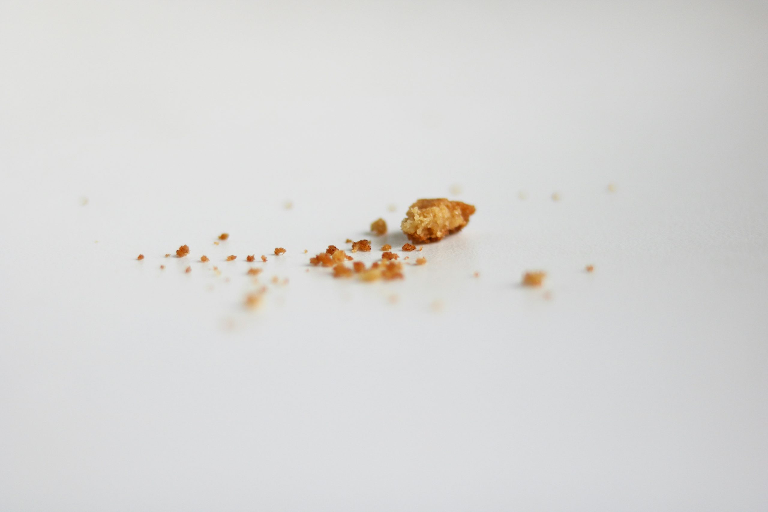 Pop-Tart Crumb