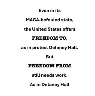 Even in its MAGA-befouled state, the United States offers FREEDOM TO, as in protest Delaney Hall. But FREEDOM FROM still needs work. As in Delaney Hall