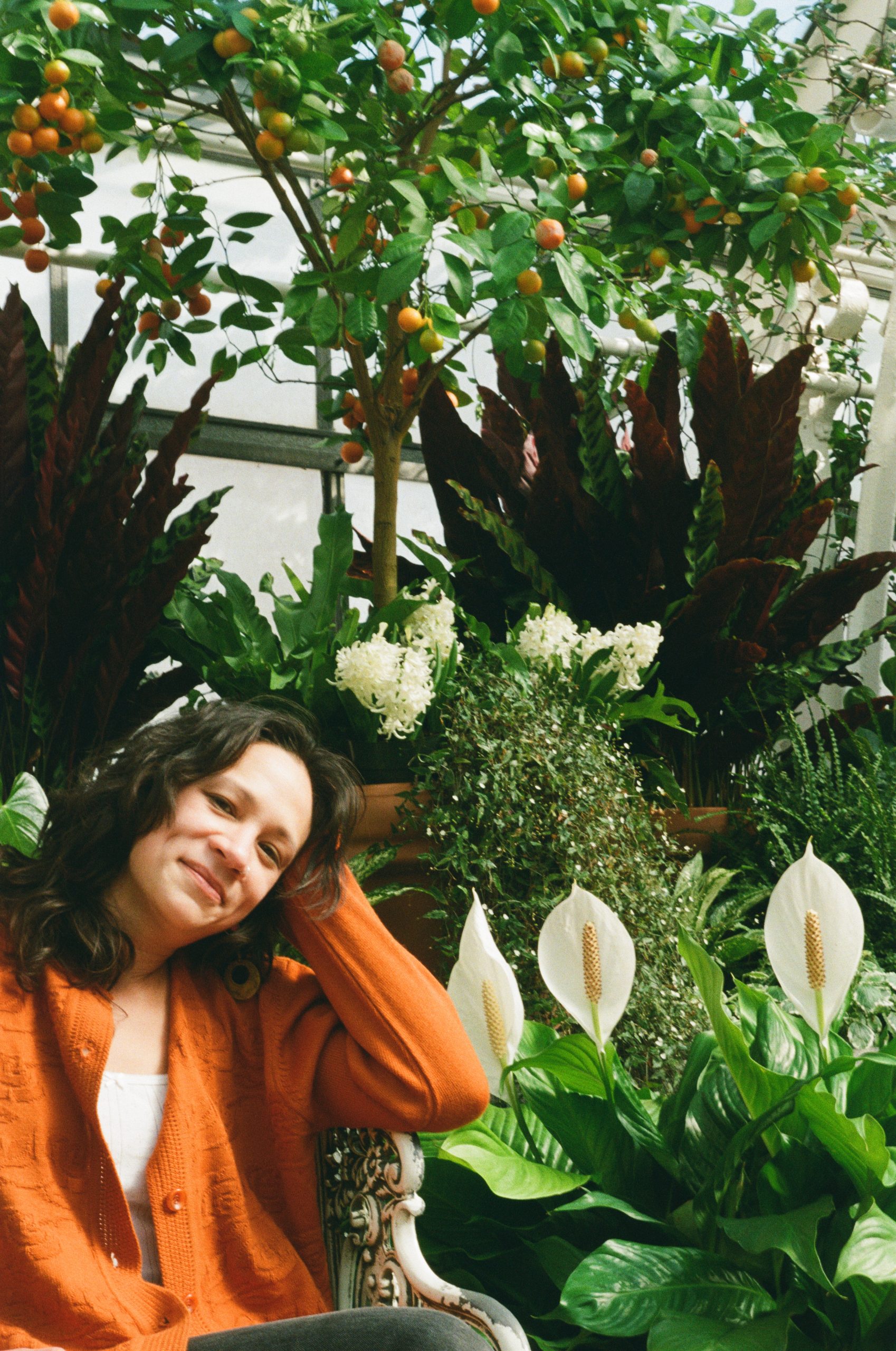 Queering Taxonomies: A Conversation with Alysia Li Ying Sawchyn