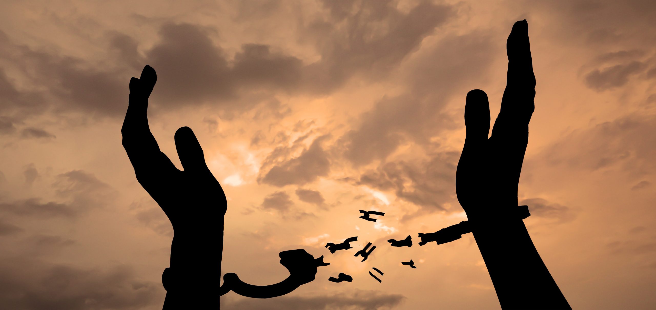Reflections on “What Is Freedom?”