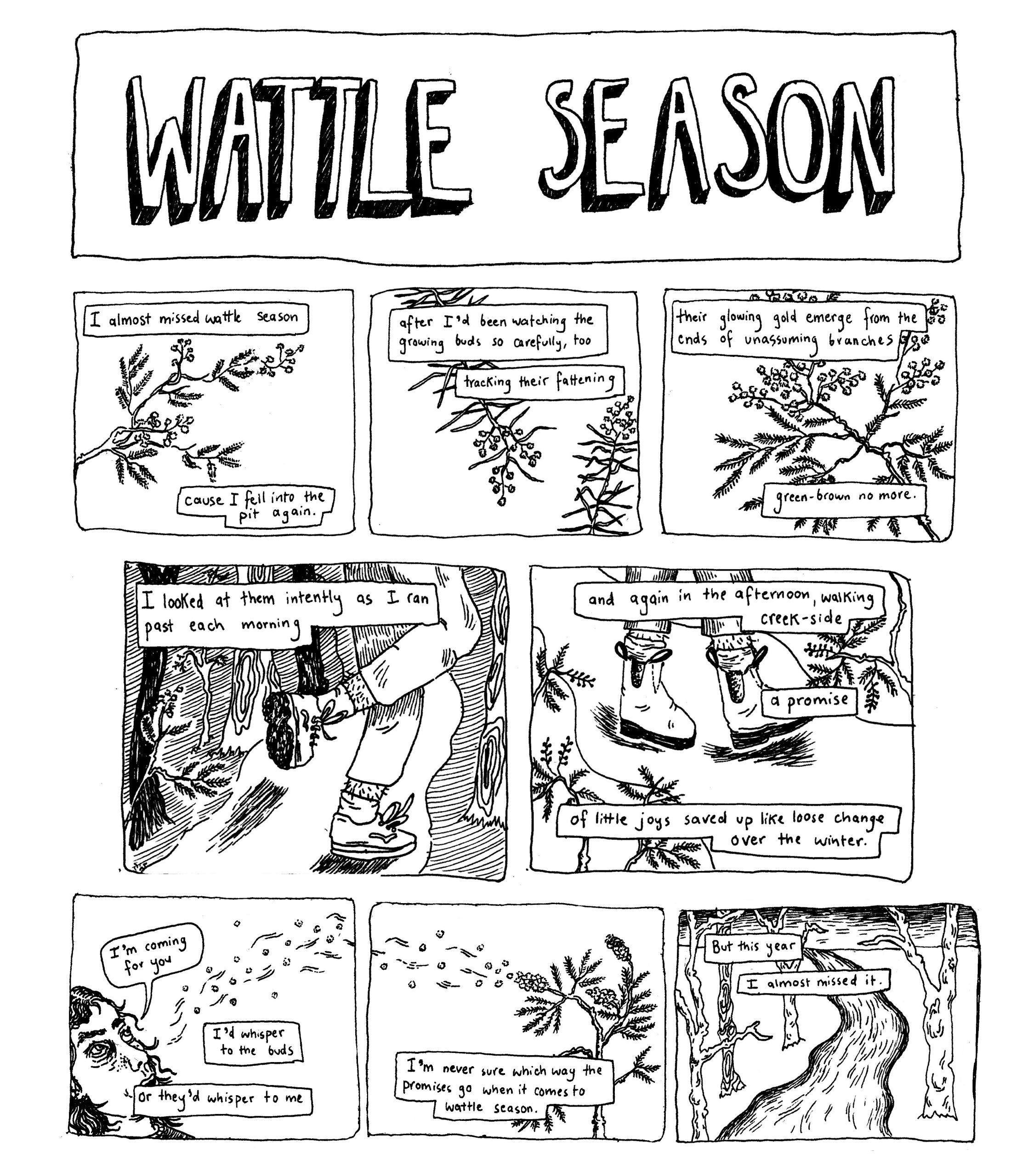 Wattle Season