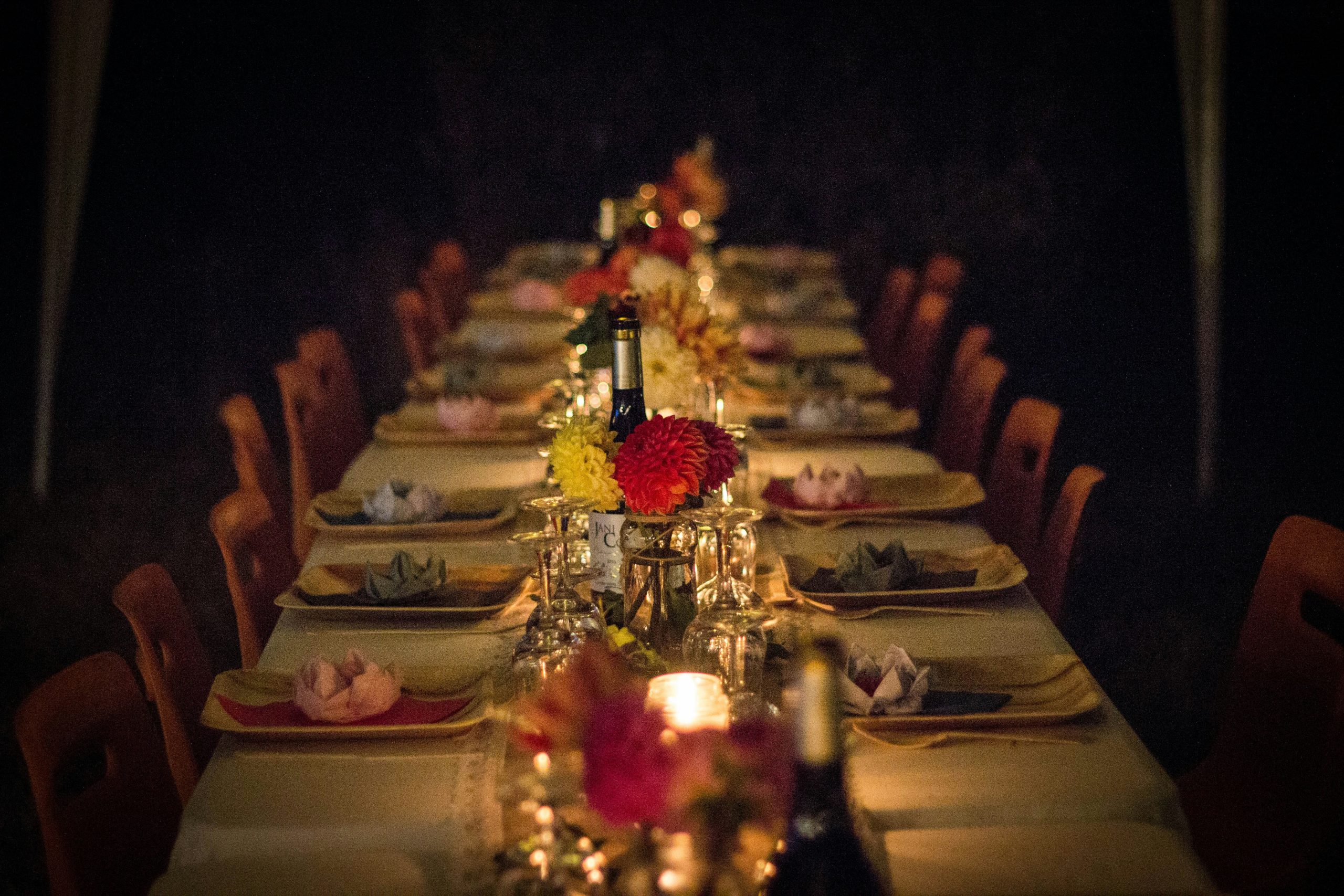 Dinner Party at the End of the World